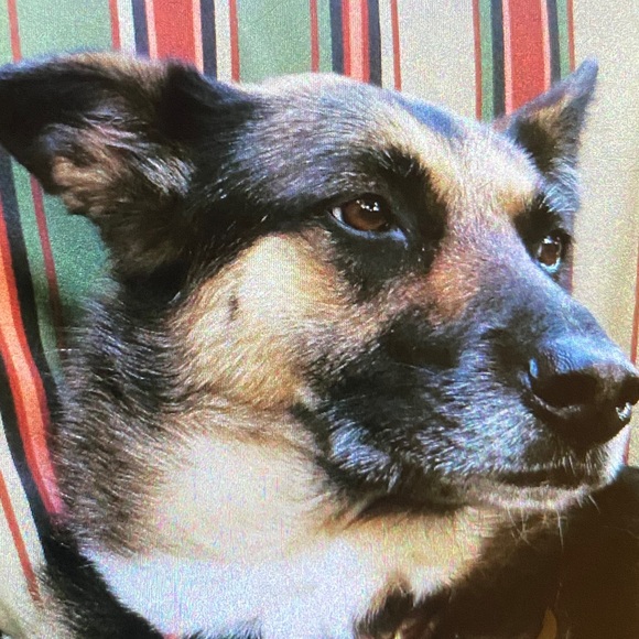 Meet the Posher Other - Meet your Posher, Harley